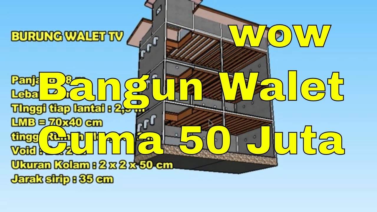 Wow 50 Jt Bangun Rumah Walet Ini Desainnya Youtube