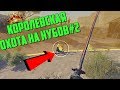 Вот это поворот | Королевская охота на нубов Warface #2🔪