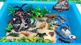 Dinosaur Mini World For Kids | 15 Mini Dino In volcano Island 공룡 박스 쥬라기월드