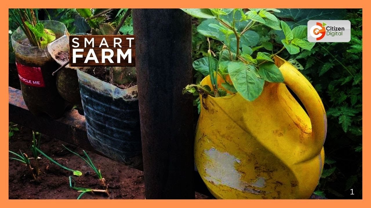 Smart Farm | Focus on Urban Farming in Kitui County