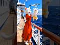 Mother threw her baby overboard to marry her cat boyfriend 😭#facts #ytshorts #shorts