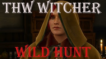 The Witcher 3- Wild Hunt- Part 38 Count Reuven