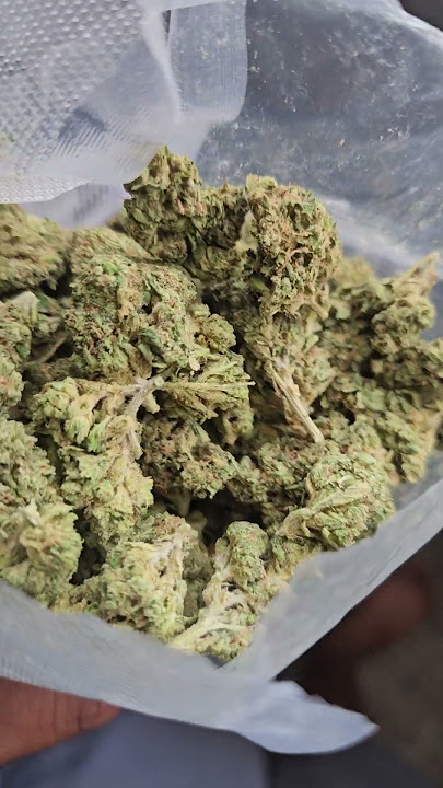 JK Distro thca ny sour diesel