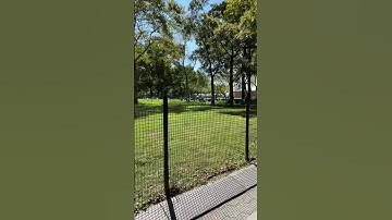 Battery Park, NYC Summertime ‼️🏙️#shorts #nyc #viralvideo #youtubeshorts #batterypark #thebattery