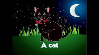 Nighttime Animal Sound