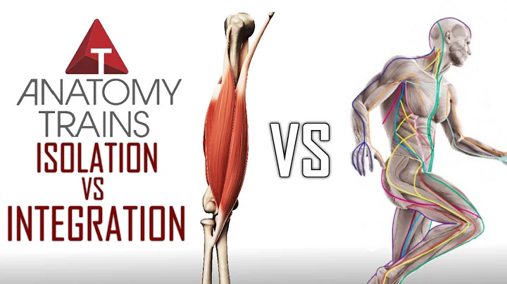Thomas Myers on Biomechanics - Isolation vs Integr...