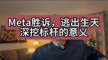 【第446期】Meta胜诉，逃出生天 - 深挖标杆的意义