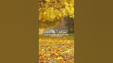 استمع لحظات تنفعك يوم القيامة❤️ وتجهز لرمضان. 🌙 | القرآن الكريم ( شُفَيَعٍگ يَۆم آلُقيَآمة )