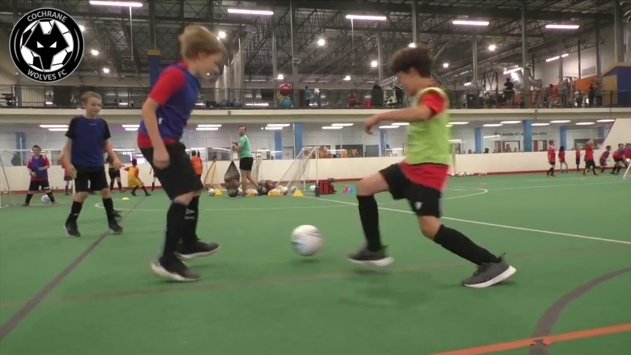 Cochrane wolves video