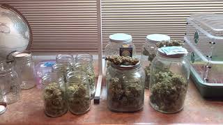 Spider Farmer's New Years Grow Harvest