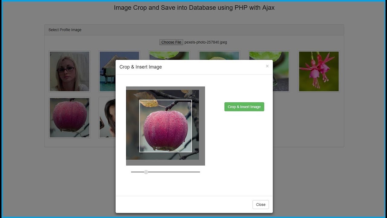 Image Crop And Save Into Database Using Php With Ajax Webslesson