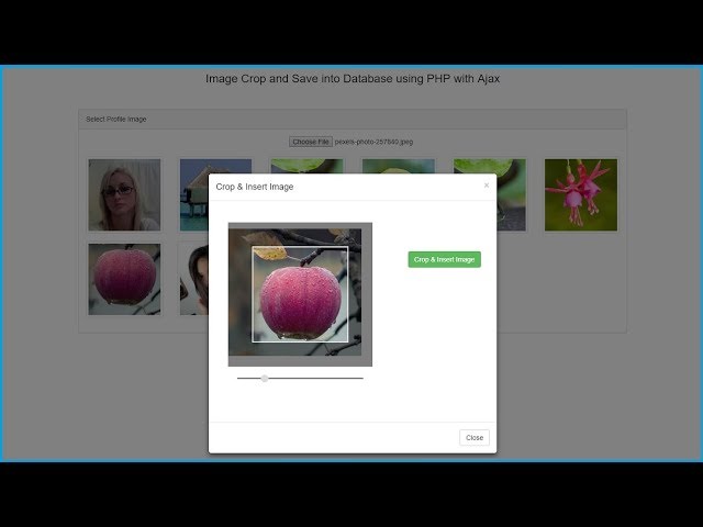 Crop & Insert Image into Mysql using jQuery with PHP Ajax