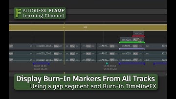 Display Burn-in Markers From All Tracks - Flame 2018.3 Update