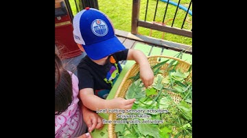 Leas cutting sensory activities - Scissors skills- fine motor skills activities