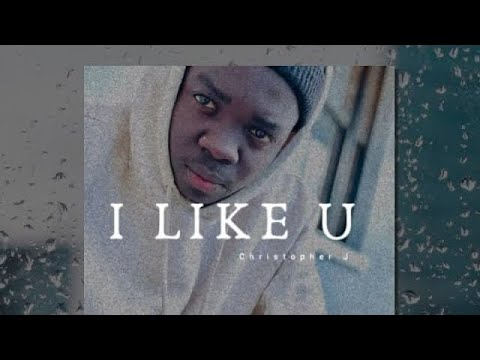 I Like You To My Crush