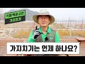 [식물백과사전] 가지치기는 언제 하면 될까요? 가지치기의 모든 것! Mp3 Song