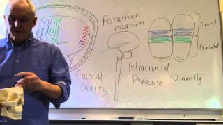 Brain and head injuries lesson 1, Introduction, intracranial pressure and level of consciousness