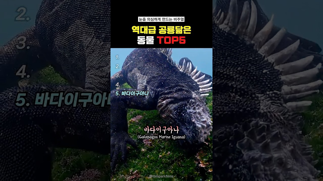 역대급 공룡닮은 동물Top5