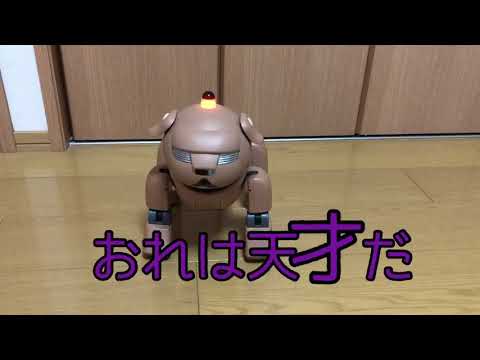 【AIBO】【ロボット犬】「まややん🐶」のこれってアミバ？