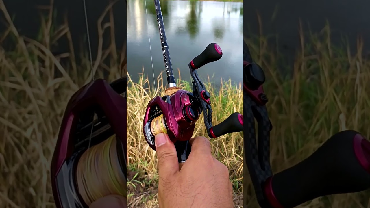 Shimano Scorpion MGL150  2019  