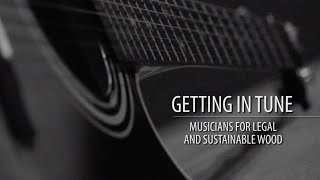 Getting In Tune: Musicians for Legal and Sustainable Wood Getting In Tune: Musicians for Legal and Sustainable Wood