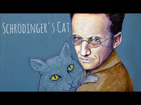 Schrödinger's Cat - Higgs Boson