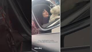 Tuba Büyüküstün Trafikte Beklerken Sevimli Dostunu Öpmelere Doyamadı...