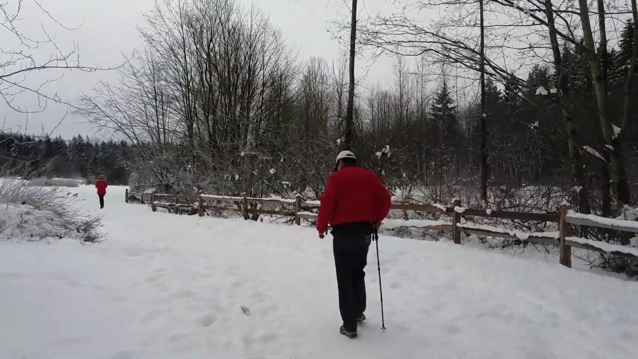 Greentimber Snow scenery1