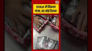 KitKat में निकला गांजा, हर कोई हैरान! | #viralshorts | #viralvideo | #shorts
