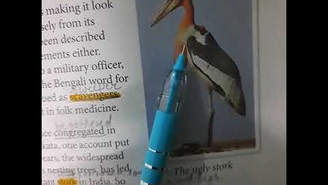 7th class..ch-5 (R) Back from the Brink (Reading Part 1-2)