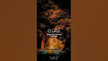 سورة الاخلاص فارس عباد 