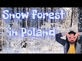 Snow forest in poland first snow of 2021  rahul solanki vlogs