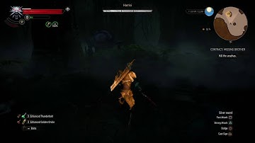 The Witcher 3: Wild Hunt – Missing Brother Contract (boss fight)