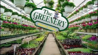 The Greenery Garden Centre - Spring Flowers
