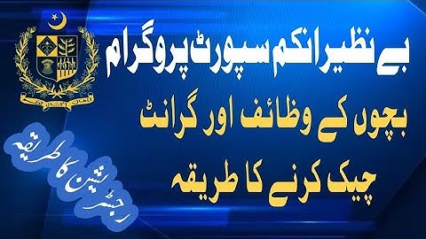 How to check Benazir waseela taleem grant|| Bisp Taleemi Wazaif Registration or apply 2023