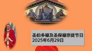 圣伯多禄及圣保禄节日弥撒2025年6月29日