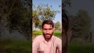 Vlog Video Simple Bath Tubewell Vlog Is Live Vlog Video