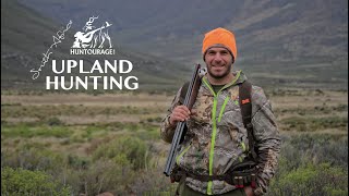 Greywing Partridge Hunting in South Africa Over Pointers | صيد الحجل في جنوب أفريقيا