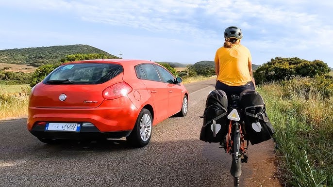 what to do if dog chases you on bike