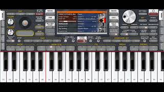 Set Org Kizomba Carolina Payti