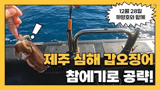 12월 28일 까망호 타고 제주 심해 갑오징어 공략