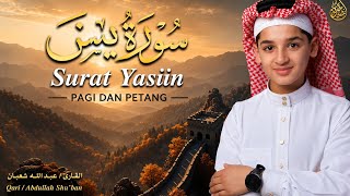Surat Yasin Full Abdullah shaban 