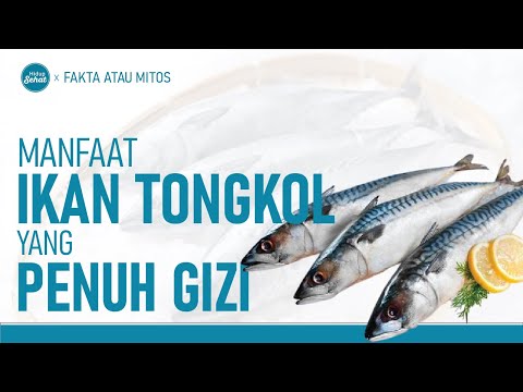 Manfaat Makan Ikan Hidup