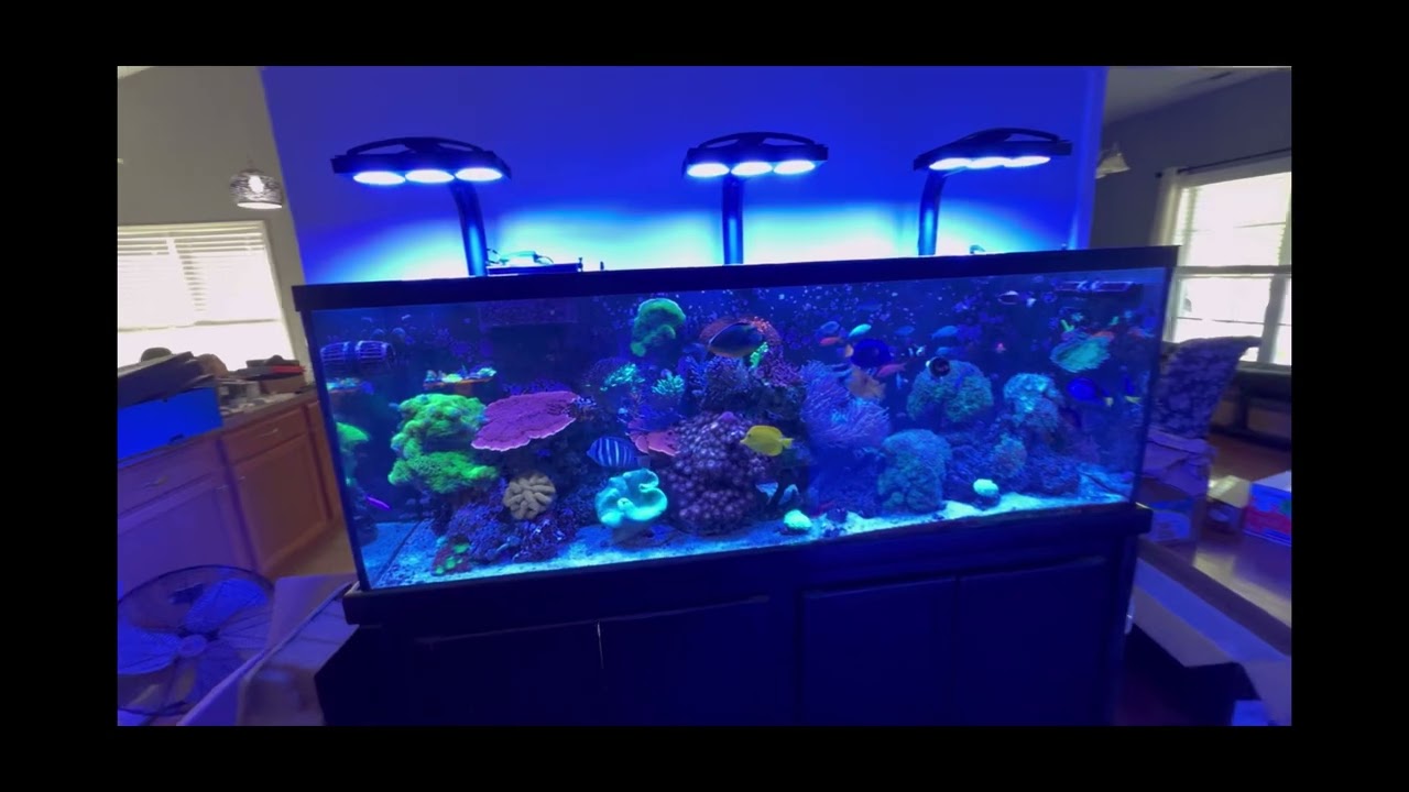 The new Red Sea Reefer S-1000 G2+ is here! 