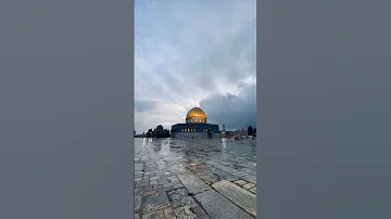 يا ناصر الحق في بدر وفي أحد علي القرني 