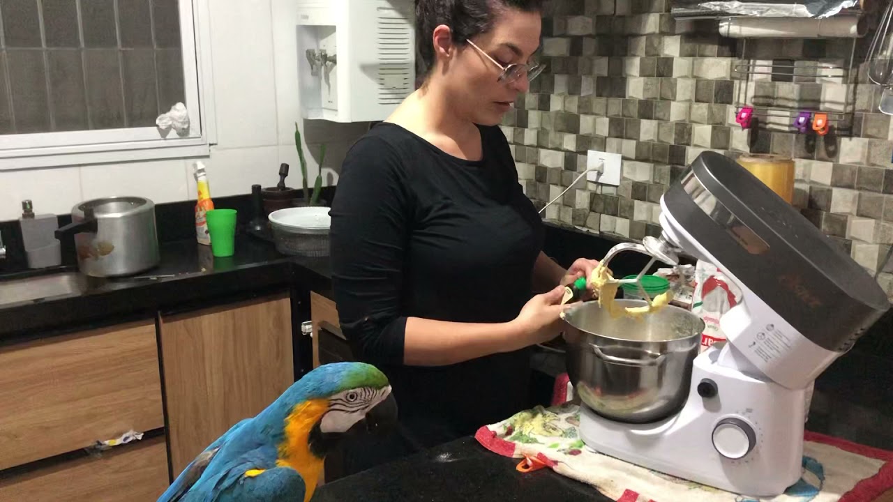 Arara King na cozinha ajudando a mamãe