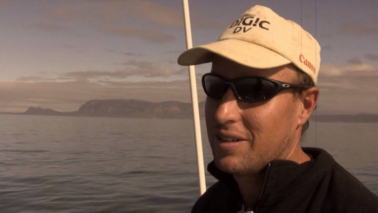 shark attacks statistics Chris Fallows in The Price of Existence