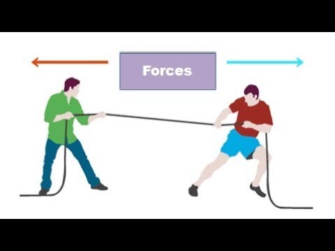 Forces: What are they and how do they affect motion? physics olevels ...