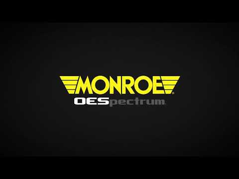 Monroe Fleet Shocks