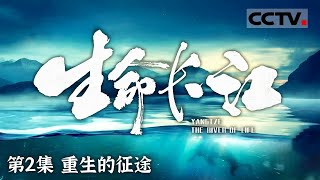 《生命长江》 归途信号声纳探测器与中华鲟的长江归家之旅 EP02【CCTV纪录】